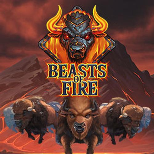 beasts of fire PLAYNGO