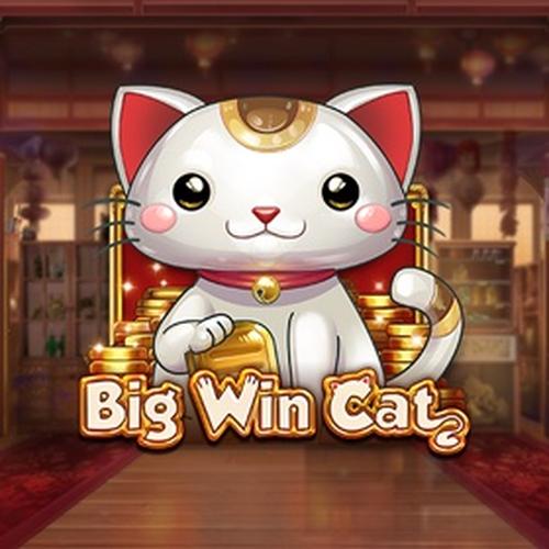 big win cat PLAYNGO