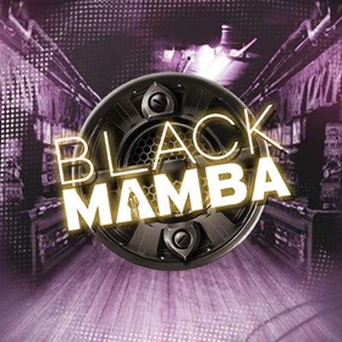 black mamba PLAYNGO