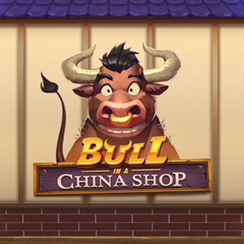 bull in a china shop PLAYNGO