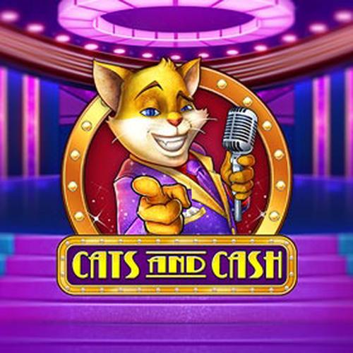 cats and cash PLAYNGO