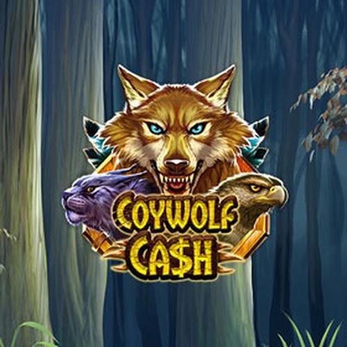 coywolf cash PLAYNGO