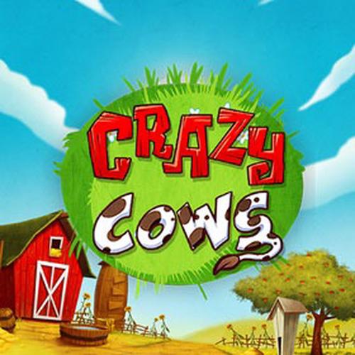 crazy cows PLAYNGO