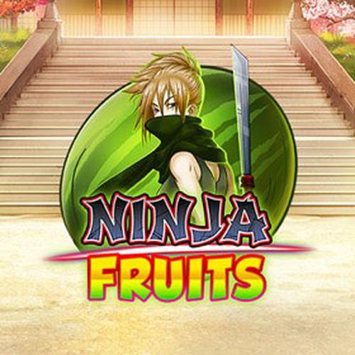 ninja fruits PLAYNGO