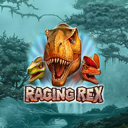 raging rex PLAYNGO