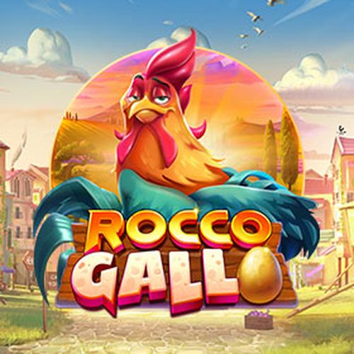 rocco gallo PLAYNGO