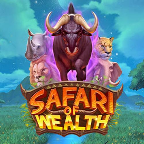 safari of wealth PLAYNGO