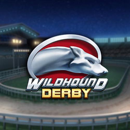 wildhoun dderby PLAYNGO