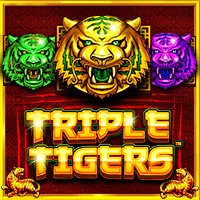 triple tigers สล็อต Pramatic Play