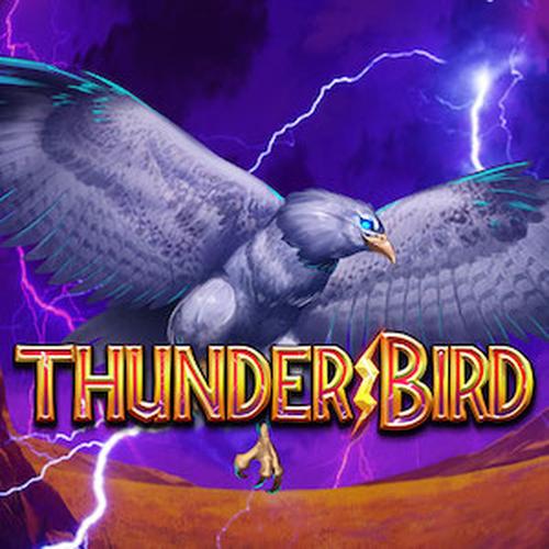 เล่นสล็อต THUNDER BIRD SPINIX 