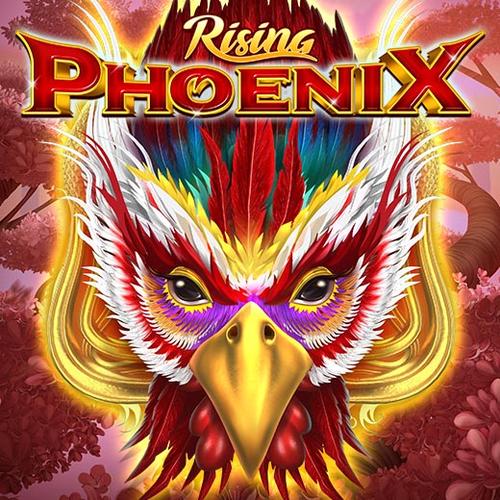 เล่นสล็อต Rising Phoenix KINGMAKER 