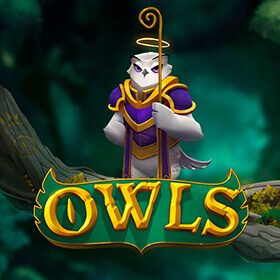 เล่นสล็อต OWLS สล็อต No Limit 